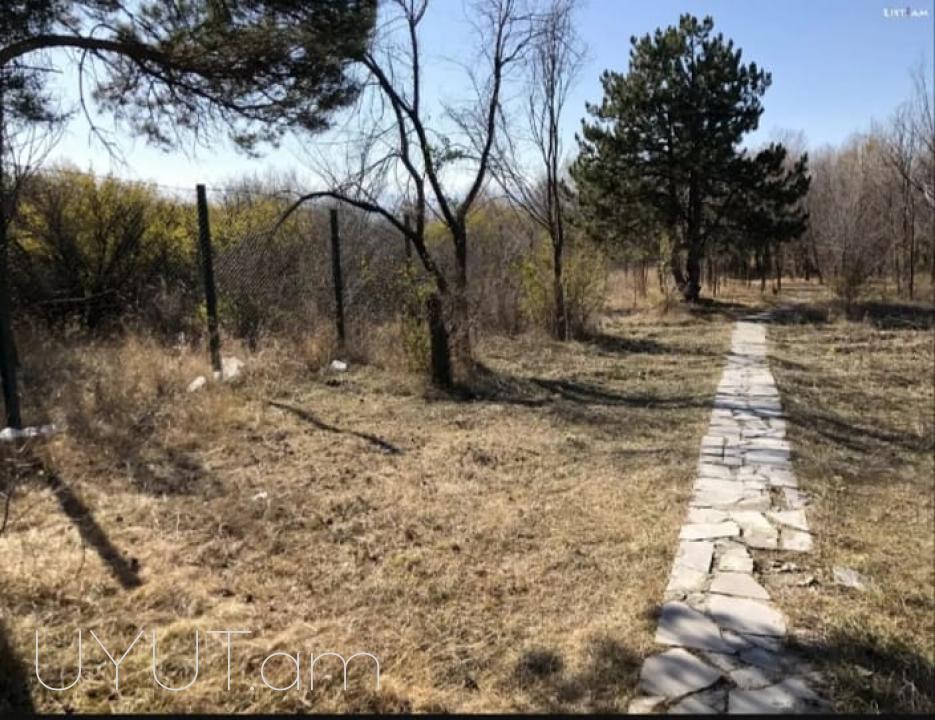 Լողափ Շորժայում