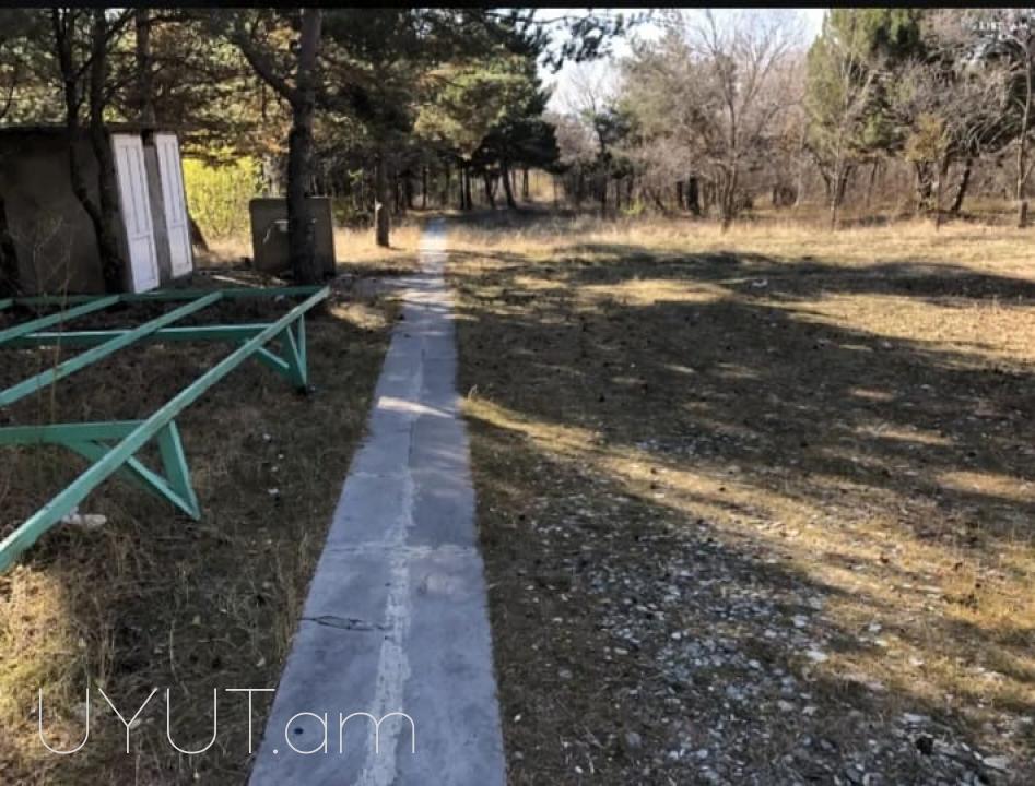 Լողափ Շորժայում