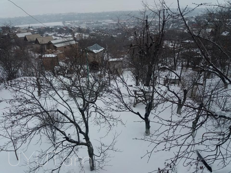 Ամառանոց    Ձորաղբյուրում.