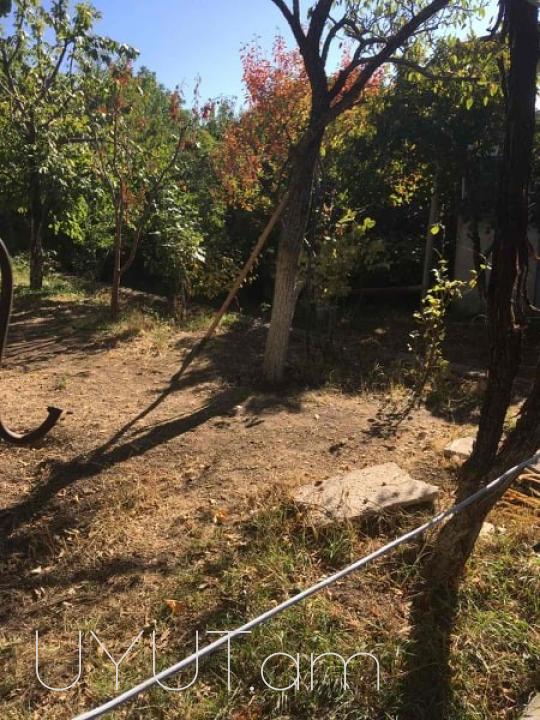 Առանձնատուն   Պտղնի   գյուղում
