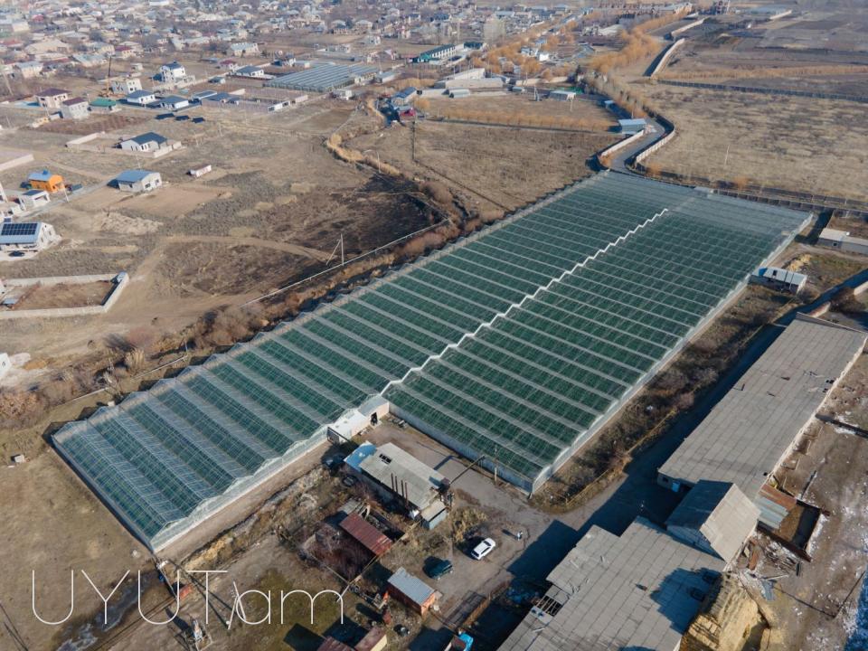 Վաճառվում է գործող ջերմոցներ Աբովյան Արամուս գյուղ տանող ճանապարհի վրա մակերես 1,5 հեկտար որտեղ մշակվում է շուկայում հայտնի բարձրորակ լոլիկ պոմիդոր