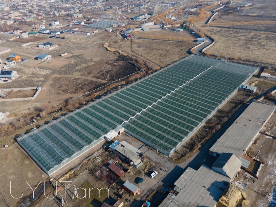 Վաճառվում է գործող ջերմոցներ Աբովյան Արամուս գյուղ տանող ճանապարհի վրա մակերես 1,5 հեկտար որտեղ մշակվում է շուկայում հայտնի բարձրորակ լոլիկ պոմիդոր
