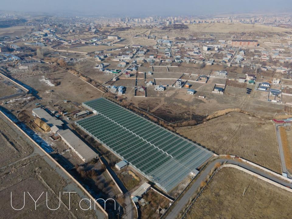 Վաճառվում է գործող ջերմոցներ Աբովյան Արամուս գյուղ տանող ճանապարհի վրա մակերես 1,5 հեկտար որտեղ մշակվում է շուկայում հայտնի բարձրորակ լոլիկ պոմիդոր