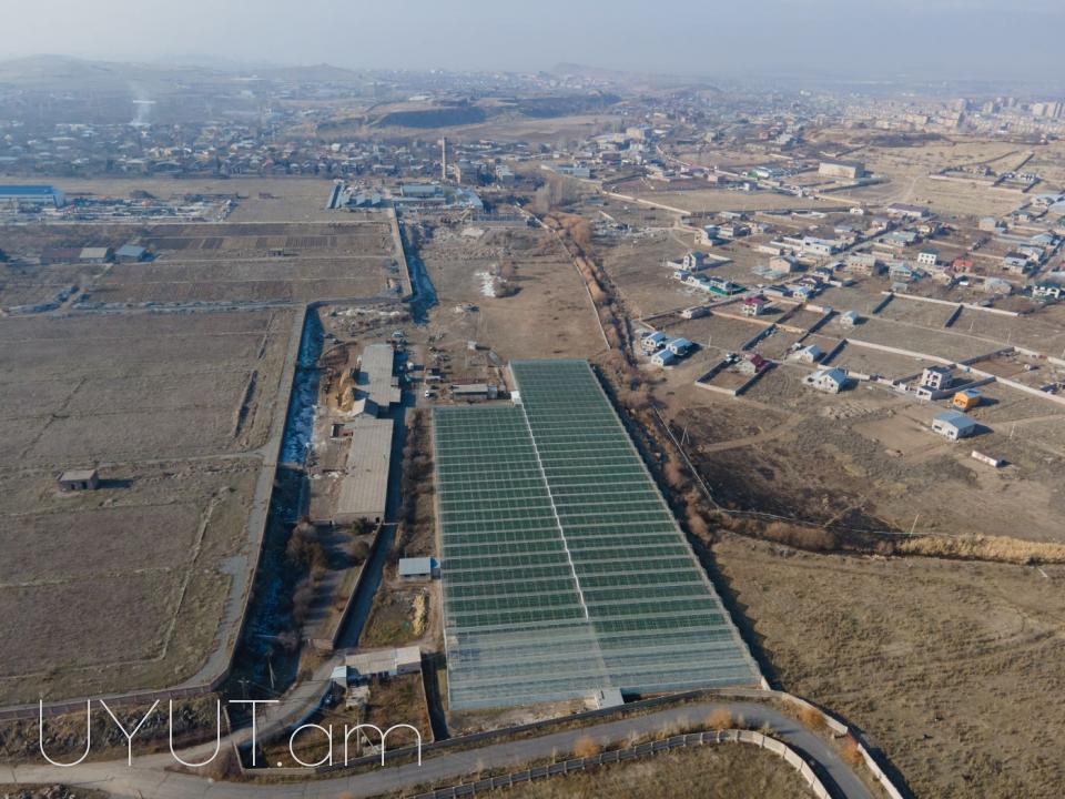 Վաճառվում է գործող ջերմոցներ Աբովյան Արամուս գյուղ տանող ճանապարհի վրա մակերես 1,5 հեկտար որտեղ մշակվում է շուկայում հայտնի բարձրորակ լոլիկ պոմիդոր