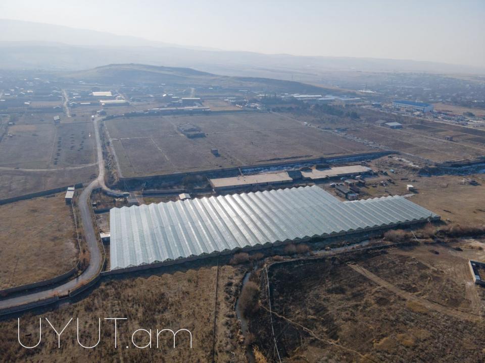 Վաճառվում է գործող ջերմոցներ Աբովյան Արամուս գյուղ տանող ճանապարհի վրա մակերես 1,5 հեկտար որտեղ մշակվում է շուկայում հայտնի բարձրորակ լոլիկ պոմիդոր