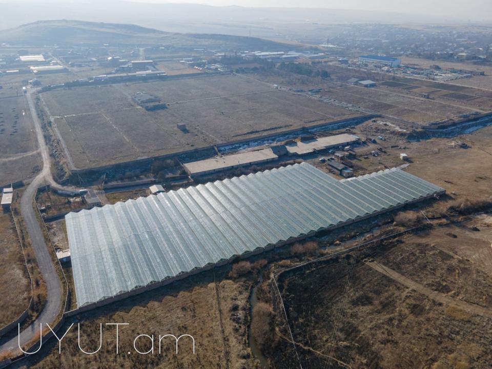 Վաճառվում է գործող ջերմոցներ Աբովյան Արամուս գյուղ տանող ճանապարհի վրա մակերես 1,5 հեկտար որտեղ մշակվում է շուկայում հայտնի բարձրորակ լոլիկ պոմիդոր