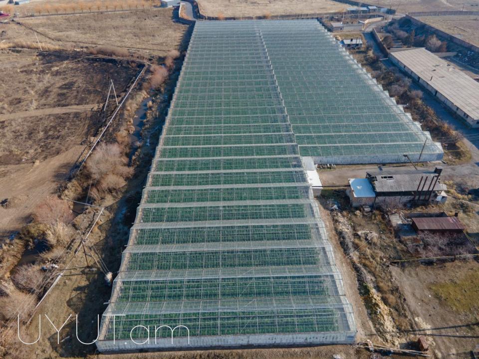 Վաճառվում է գործող ջերմոցներ Աբովյան Արամուս գյուղ տանող ճանապարհի վրա մակերես 1,5 հեկտար որտեղ մշակվում է շուկայում հայտնի բարձրորակ լոլիկ պոմիդոր