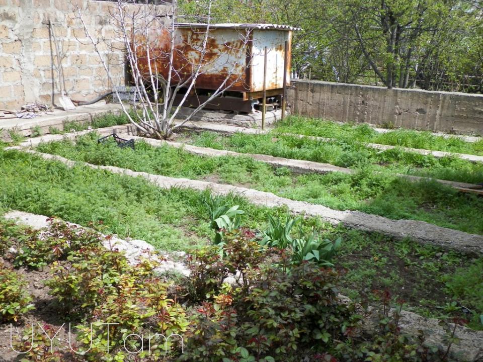 Ջանիբեկյան փող 3սեն կոդ 7009