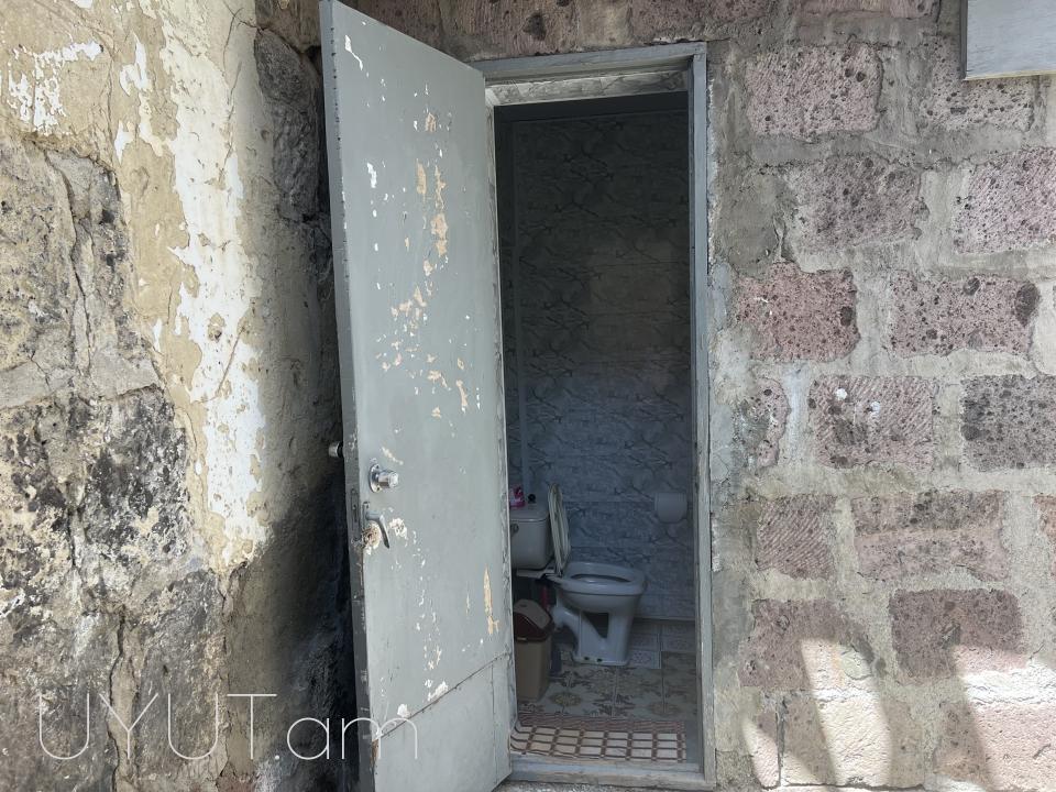 Տունը գտնվում է լավ վիճակում 