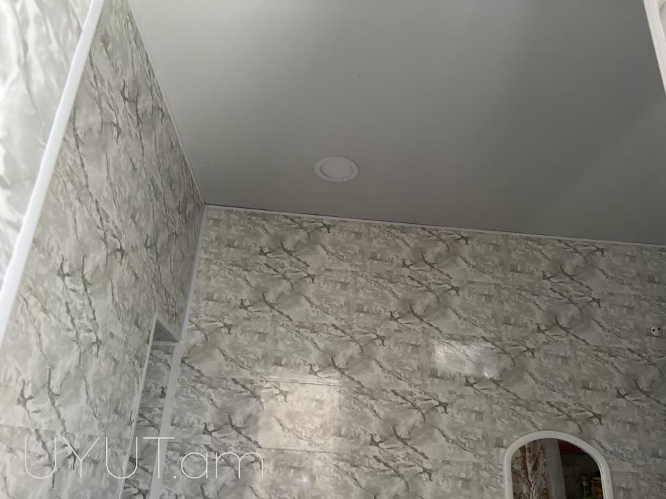 Տունը գտնվում է լավ վիճակում 