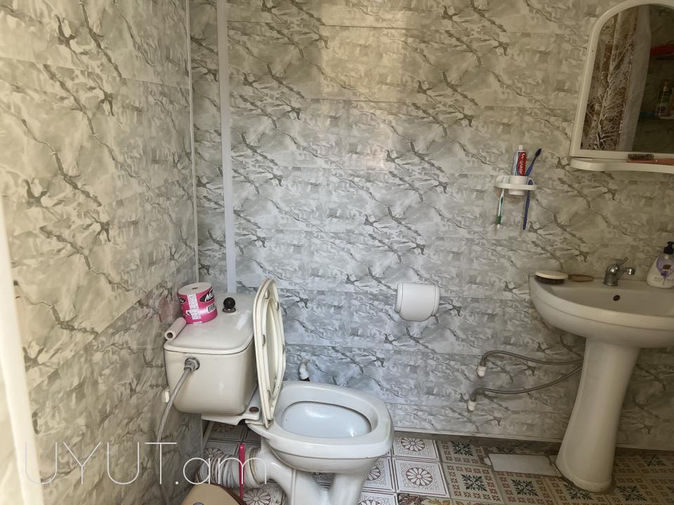 Տունը գտնվում է լավ վիճակում 