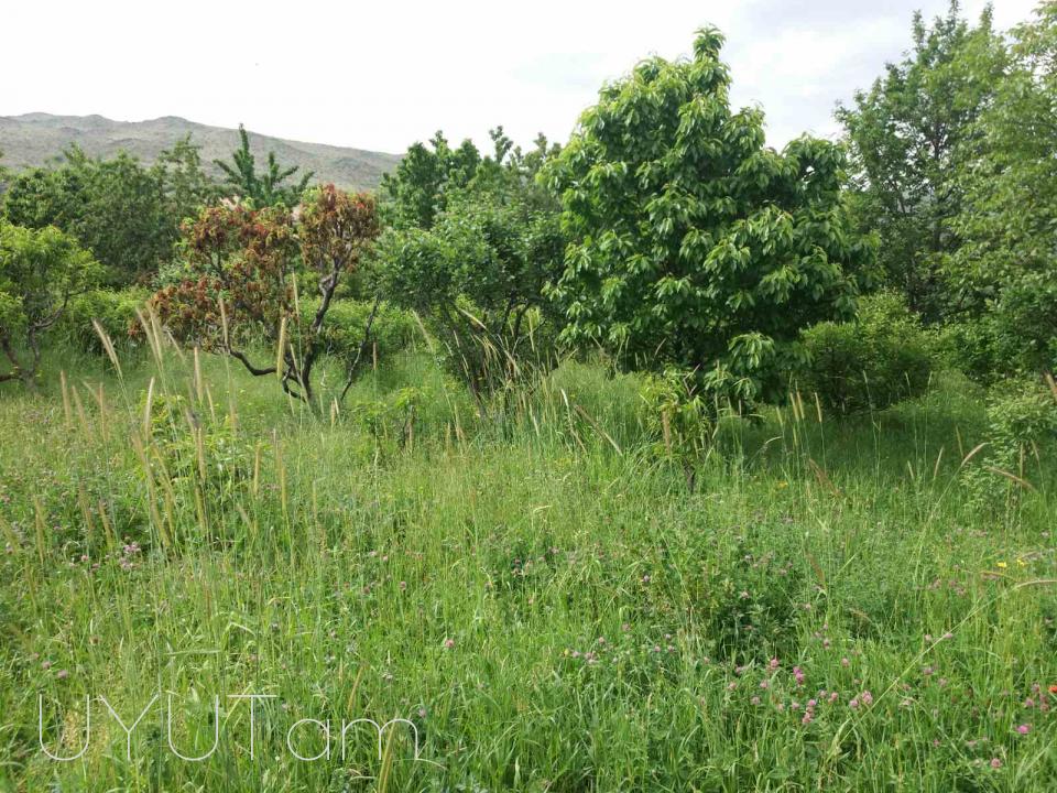 Vacharvum e shtap