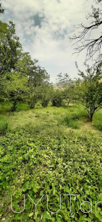 Առանձնատուն