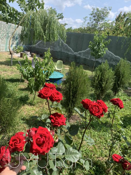 Օրավարձով տուն Հանգստյան գոտի