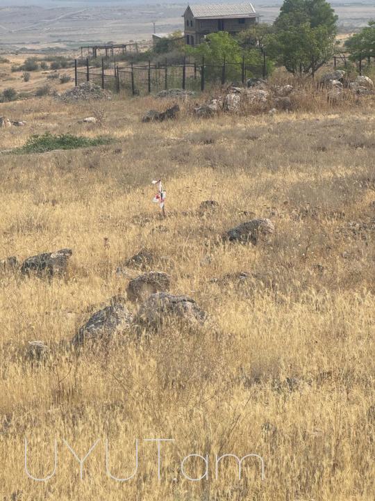 Հաղատարածք տարբեր նշանակության ։