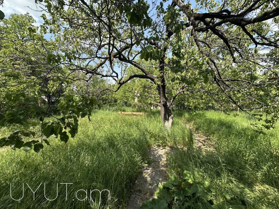 Վաճառվում է սեփական տուն, որը ունի 510ք/մ հողատարածք, պտղատու ծառերով