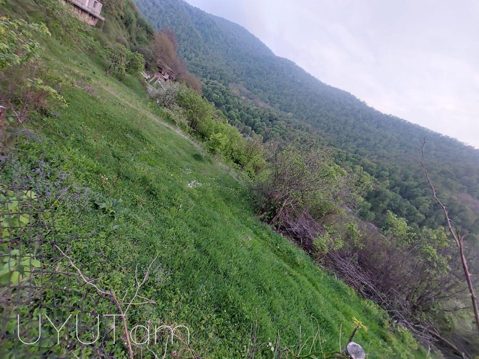 Հողատարածք