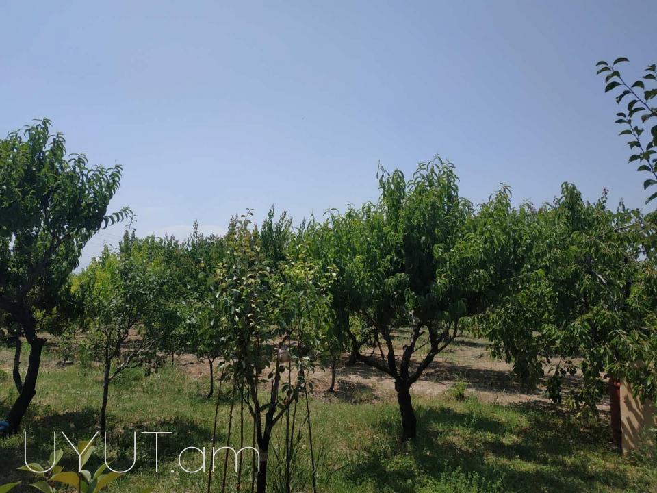 Հաղթանակ թաղամաս