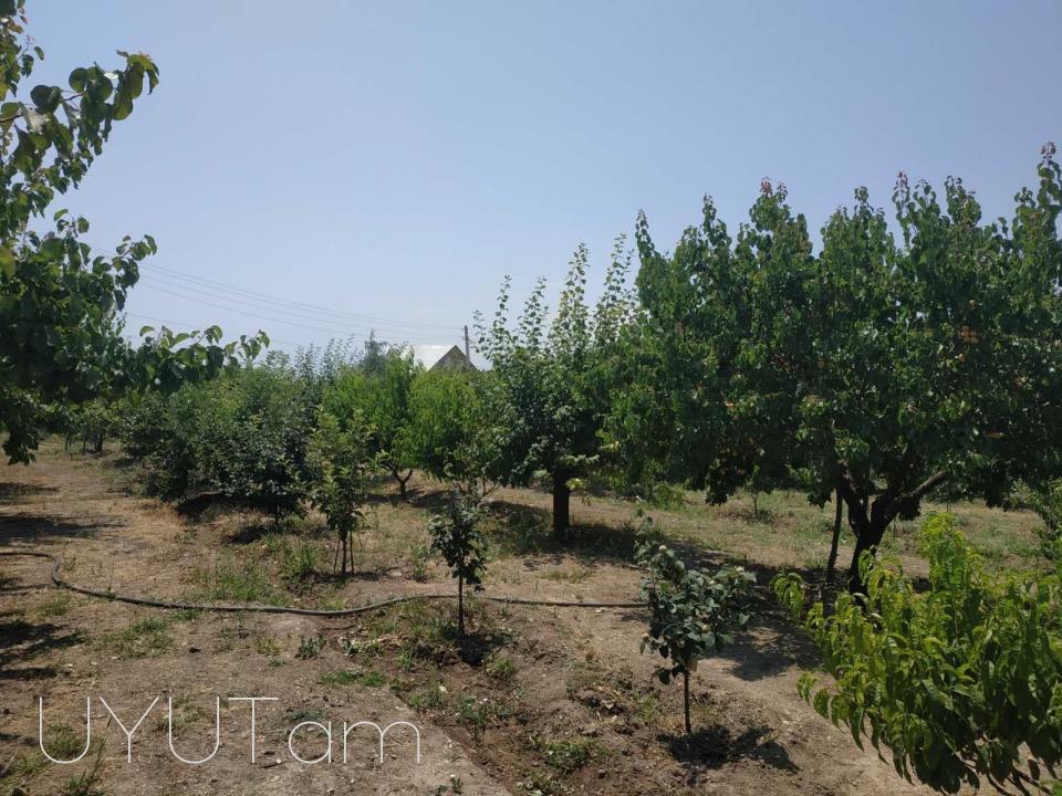 Հաղթանակ թաղամաս
