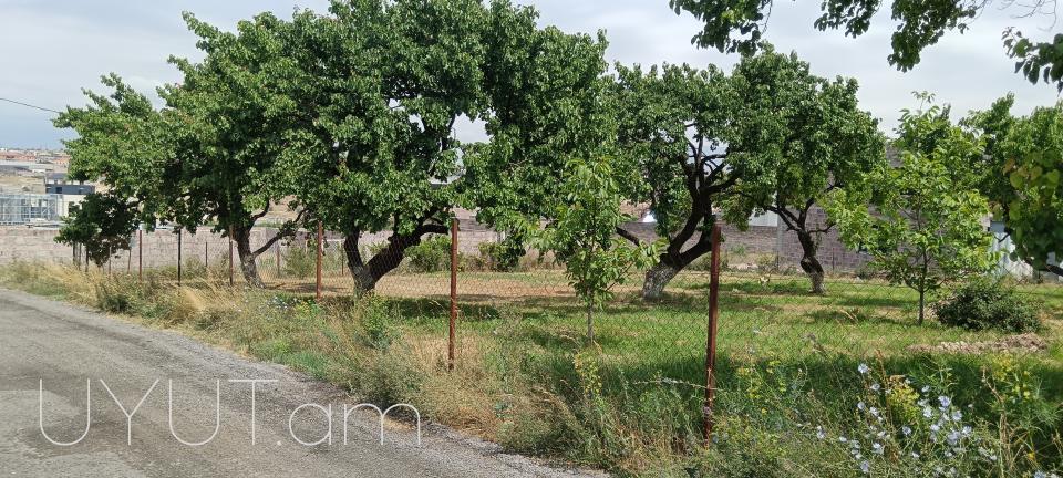 ԱՇՏԱՐԱԿԻ ԽՃՈՒՂԻ ՎԱՀԱԳՆԻ ԹԱՂԱՄԱՍԻՆ ԿԻՑ