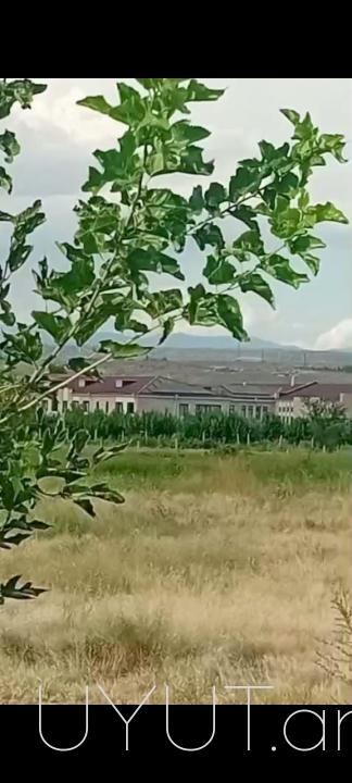Շտապ վաճառք