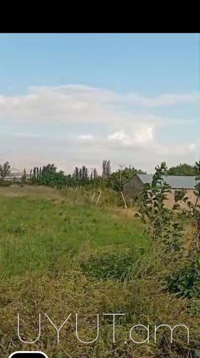 Շտապ վաճառք